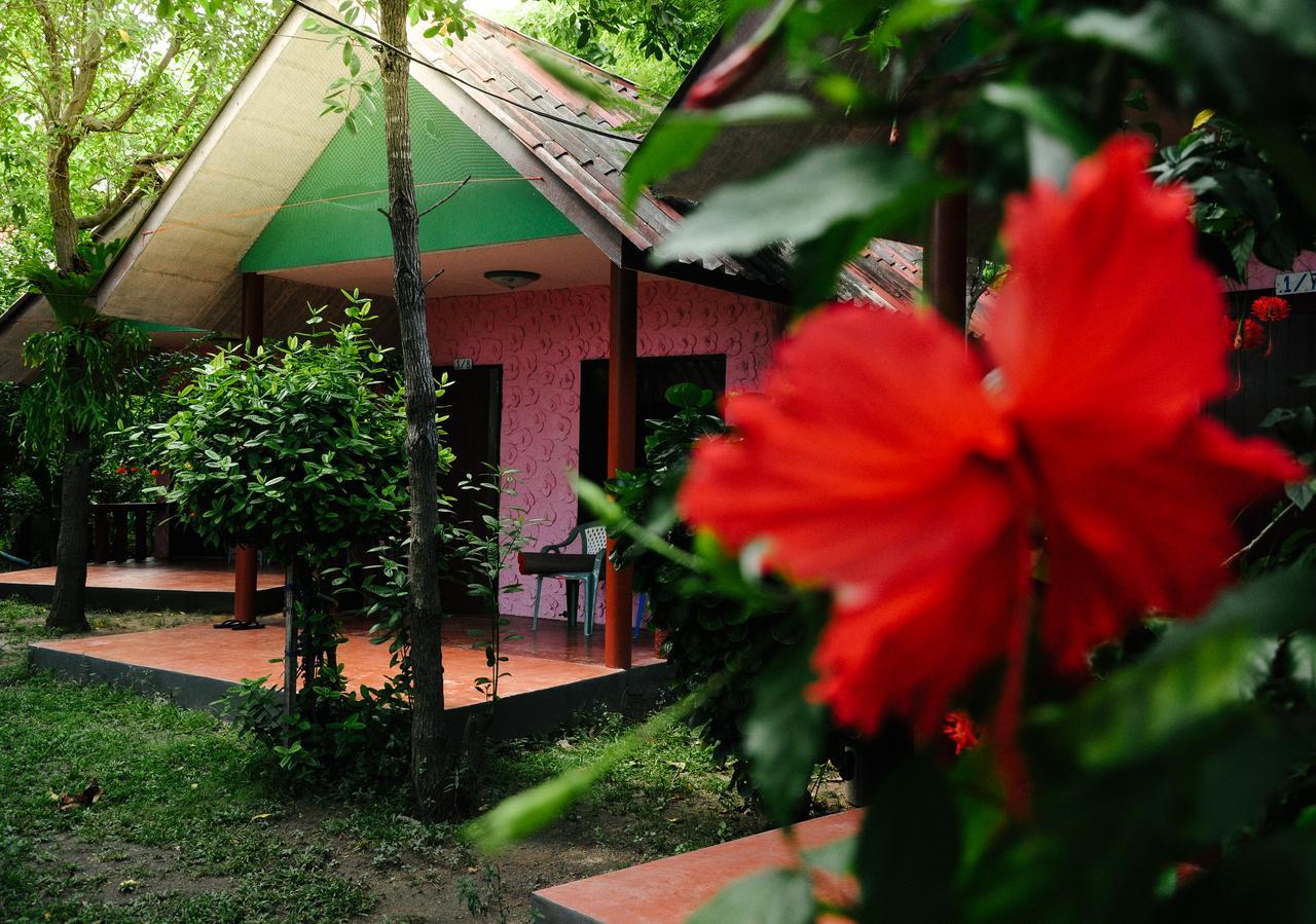 Coral Bungalows Haad Rin Exterior foto